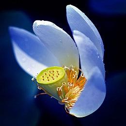 暴雪介绍《暗黑破坏神4》敌人等级弹性变化机制